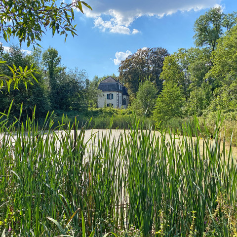 Teichanlage-Heisterbach