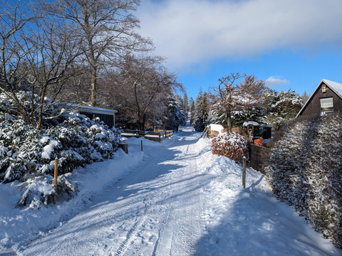 PXL_20240119_102931551