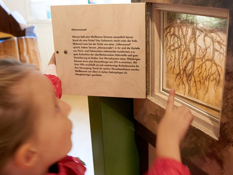 Beizehaus Nationalpark-Infostelle innen Mädchen zeigt auf ein Informationsbild in einer Ausstellung.