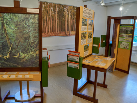 Innenraum eines Waldmuseums mit Ausstellungstafeln und interaktiven Stationen.