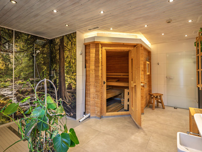 Ferienanlage zum Wildbach in Schierke - Sauna