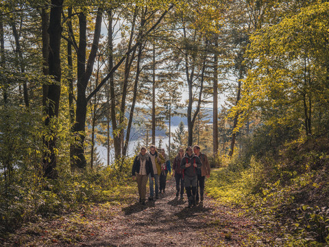 Bergische Wanderwochen Wandernde in einem Laubwald, dahinter glänzt ein See durch die Bäume.