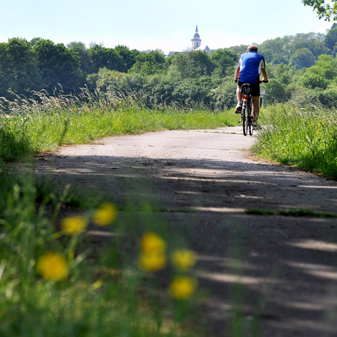 Radweg mit Abtei Siegburg DSC_0252.jpg