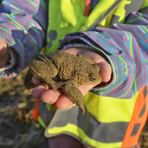 Kinder Ferienprogramm.jpg Kinder Ferienprogramm Wannninchen
