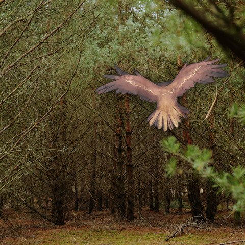 AeE_Styleframe6 Tiere der Nacht - Entdeckungstour f. Familien Wanninchen .jpg Tiere der Nacht - Entdeckungstour f. Familien Wanninchen