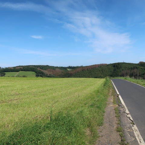 Blick zurück ins Holperbachtal
