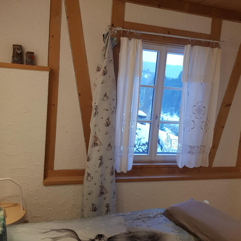 Aussicht direkt beim Erwachen