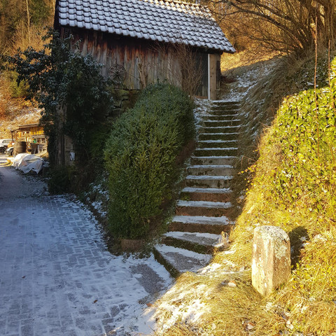 Der alte Schopf