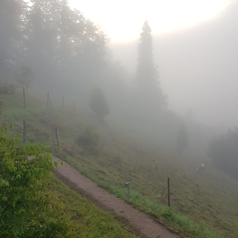 bis zu den Wolken..