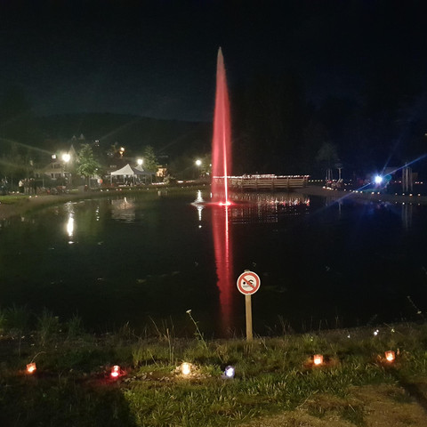 Schelklewiese in Baiersbronn