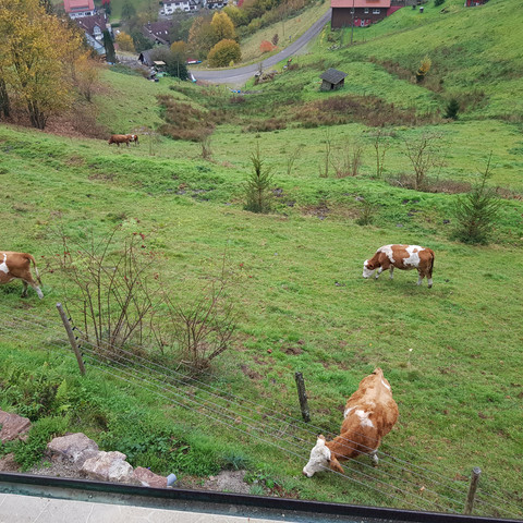 Wie auf der Alm vom Öhi