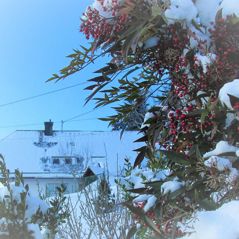 Ferienwohnung Sandras Bergstation Aussenansicht Winter Ferienwohnung Sandras Bergstation Aussenansicht Winter