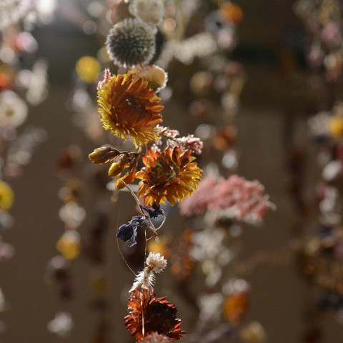 Rebecca Louise Law, Community 2018, Toldeo Museum of Art Courtesy of Richard Todd.JPG