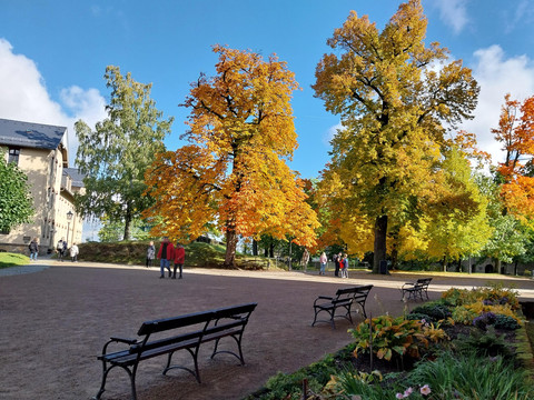 Herbst auf der Festung Königstein