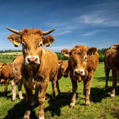 Hexenweg Friesenhagen