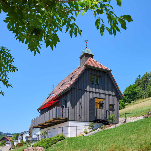 BAIE_2026_Bergforelle_A_Metz4