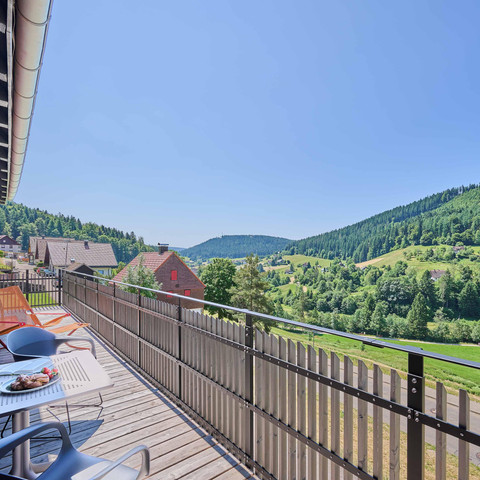 BAIE_2026_Bergforelle_A_Metz9