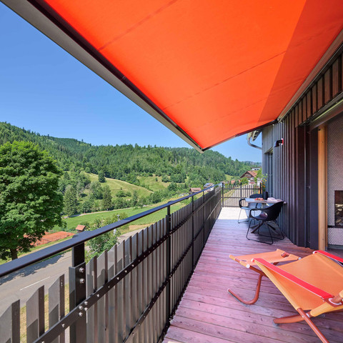 BAIE_2026_Bergforelle_A_Metz8