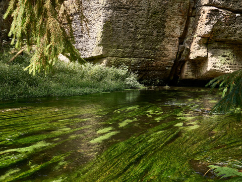 Wasserlauf an Sandsteinfelsen, im Vordergrund grüne Wasserpflanzen.