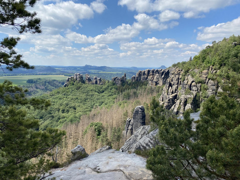 Natur genießen in der Sächsischen Schweiz