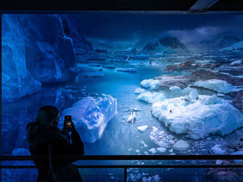 Yadegar Asisi Panorama „Antarktis“ am 22.01.2026 in Leipzig