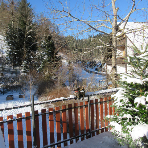 FeWo Schönmünzblick