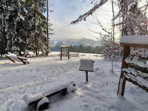 Winter in Lückendorf