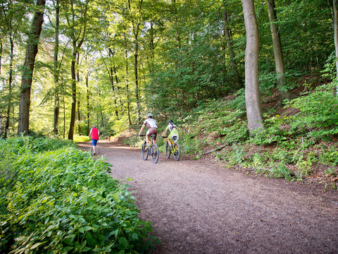 Romanik Waldhotel Mangold