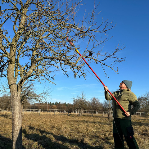 Streuobstwiese_Pflege_JensClaussnitzer_Wanninchen7.jpg