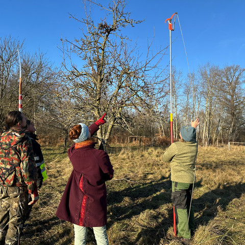Streuobstwiese_Pflege_JensClaussnitzer_Wanninchen2.jpg