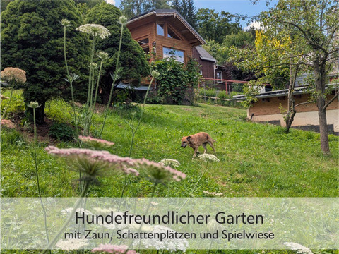 Hundefreundlicher_Garten