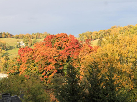 Arnoldshammer_Herbst