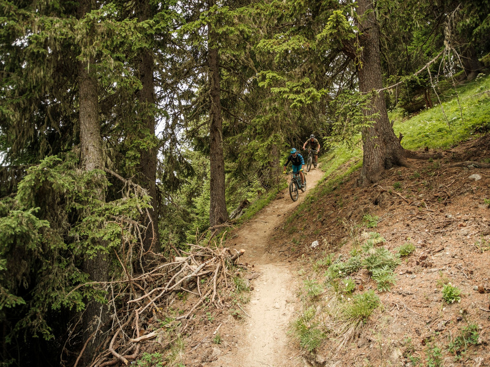 E-Mountainbike- Biketrail Bettmer Loop - Aletsch Arena