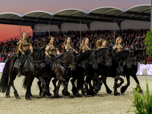 HAGEN a.T.W. - Horses and Dreams meets Netherlands 2025