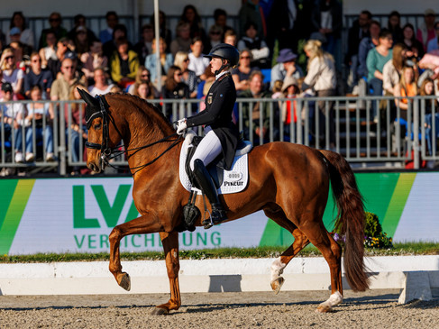 HAGEN a.T.W. - Horses and Dreams meets Netherlands 2025