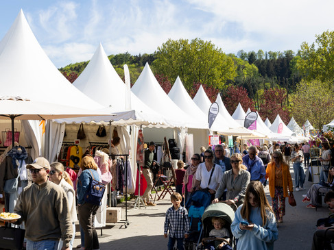 Horses & Dreams 2025