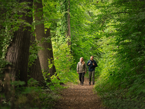 im Röderauwald bei Zabeltitz