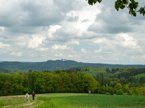 Blick zur Augustusburg
