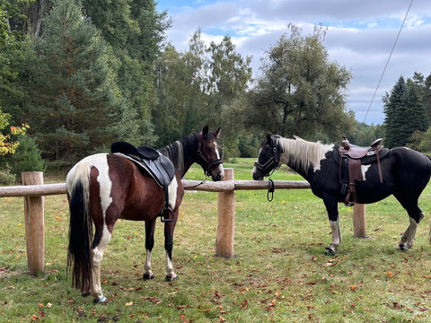 Reiterrast an der Mistschänke Moritzburg