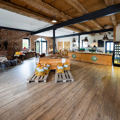 Hofladen, Hofcafe, Radfahren, Hund ©TZHS-MOCANOX (224).jpg