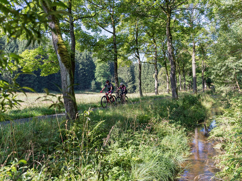 Radfahren Erzgebirge- wie ein Bad in der Natur
