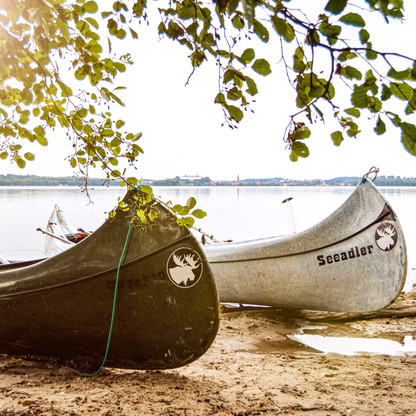 Otterpicknick©TI Plön .jpg