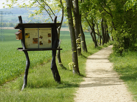Bienenlehrpfad Görlitz/Schlauroth