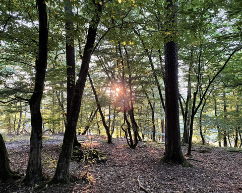 2025_07_27_Trekkingplatz_Aartal_PS (11).JPEG