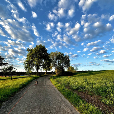 eigenlich will man immer weiter spazieren...