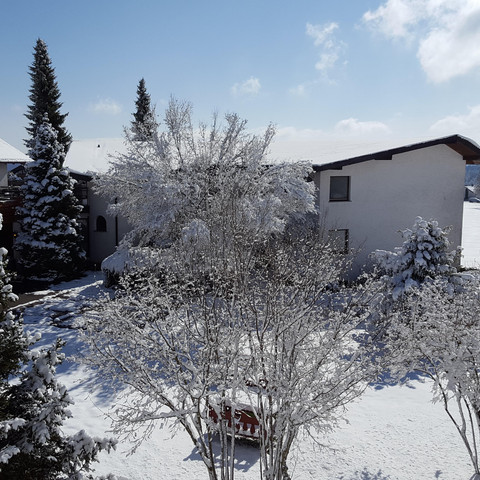 auf zur Schneeballschlacht!