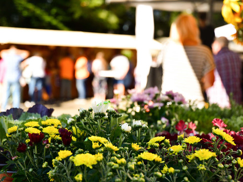 Buden mit Blumen web.jpg