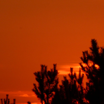 (c)Anja Kreutz Sabine Boenert.JPG