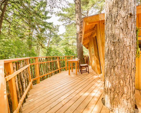 Baumhaus - 2016.08.15 - 05.59.12.jpg