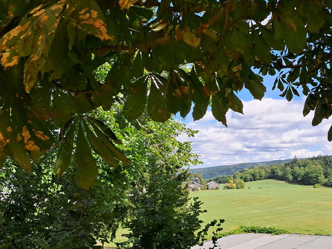 Blick zur Sosaer Straße